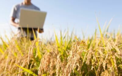Engenharia de Dados no Agronegócio: A Base para a Transformação Digital