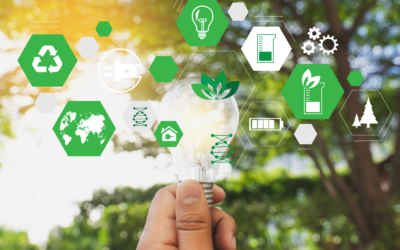 O poder dos Dados na construção de um mundo sustentável